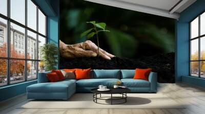 Hands old women agriculture holding and care plant tree keep environment and nature.  Growth of plants reduce global saving biodiversity nature.  Ecology and environment Concept Wall mural